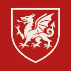 Wessex FC Fußballmanager Vereinslogo